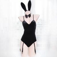 Velvet Bunny Costume